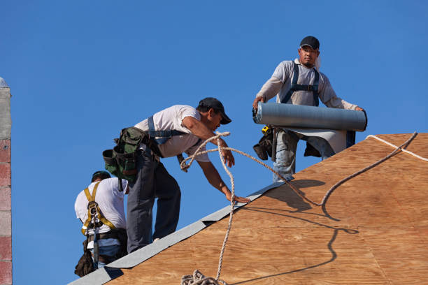 Best Gutter Installation and Roofing  in Hooks, TX