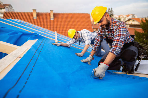 Roof Gutter Cleaning in Hooks, TX