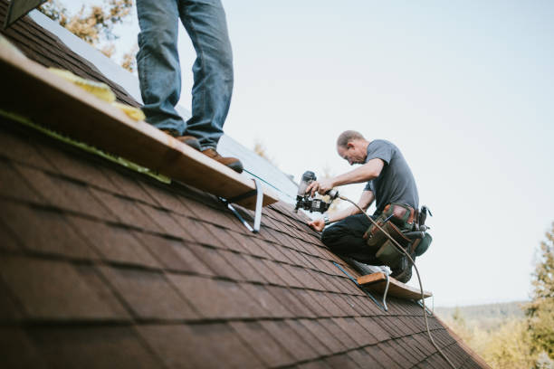 Best Roof Maintenance Services  in Hooks, TX